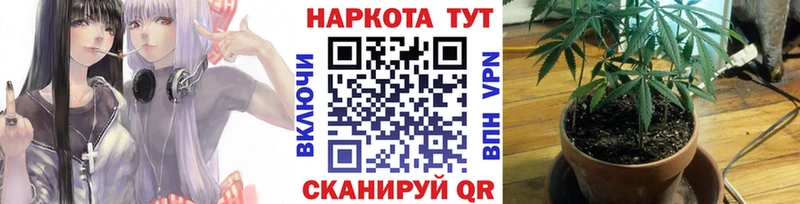 Продажа наркотиков Славгород A-PVP  Меф  МАРИХУАНА 