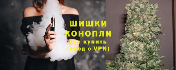 гашик Новозыбков