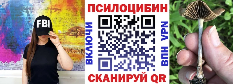 купить наркотик  Славгород  ссылка на мегу маркетплейс  Псилоцибиновые грибы Cubensis 